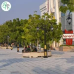 نیمکت دور درختی با چوب ترموود فنلاندی نصب شده در مسیر پیاده روی